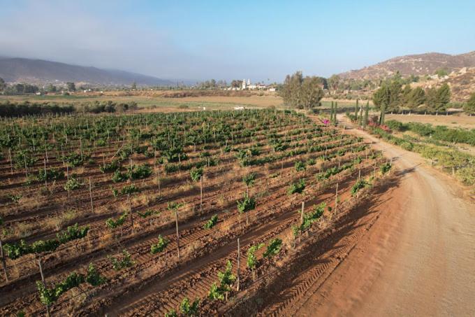 Casa Luna Vinedo Valle de Guadalupe Luaran gambar